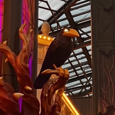 maomy55666's profile picture