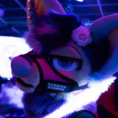 shyatnight's profile picture