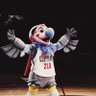 Chuck The Condor profil fotoğrafı