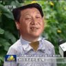 芝麻五谷豆沙's profile picture