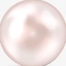 ✰'s profile picture