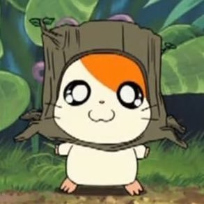 루키's profile picture