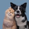 Profilbild von Trạm Pet & Chill