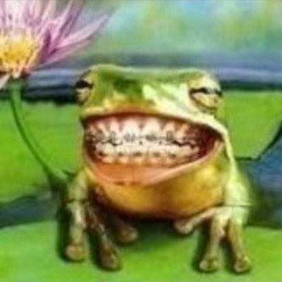 bobonilson's profile picture
