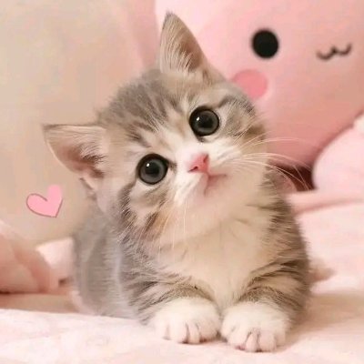 Vhiena ๐๏ธ's profile picture
