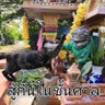 Tinnakorn 的头像