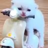 Lowjake74 的头像