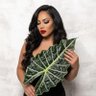 Ivy Nova's profile picture