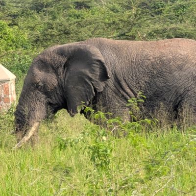 mudugudu's profile picture