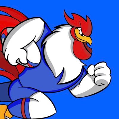 lescoqsfestifs's profile picture