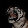 Profilbild von Xc