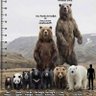 Mindblowing's profile picture