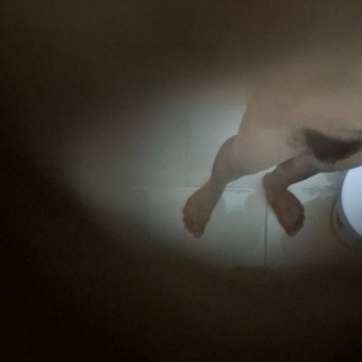 ninetyfor22's profile picture
