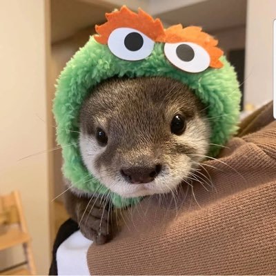 indieotterao3's profile picture