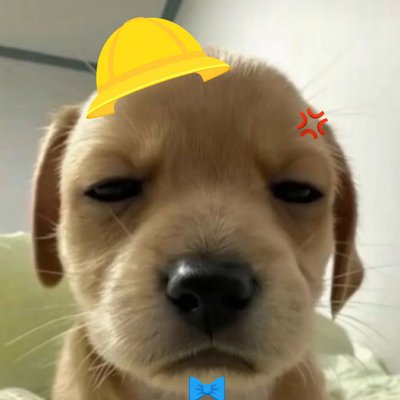 rattawalley's profile picture