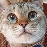 Profilbild von ばせ3