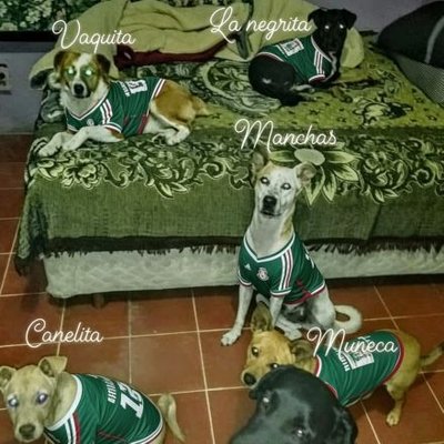 JorgeJaime_1's profile picture