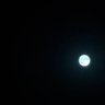 solitude's profile picture