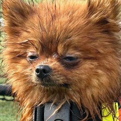 tanunpo's profile picture