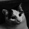 Gravey🇨🇦's profile picture