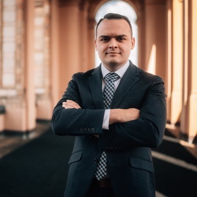 FranzSchmid_AfD's profile picture