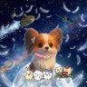 D's profile picture