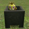 goldiethecat210's profile picture