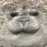 サンニョン profil fotoğrafı