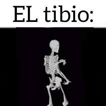Si te sigo eres un tibio #TibiosDeCojones🍁's profile picture