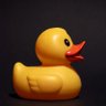 Profilbild von Ducky