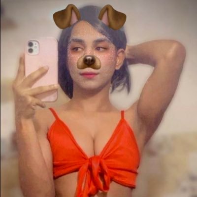 shekittyy's profile picture