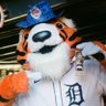 paws enthusiast's profile picture