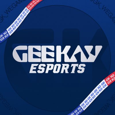 geekay_esports's profile picture