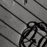 Profilbild von Oblitus #1 Tangle Blob fan