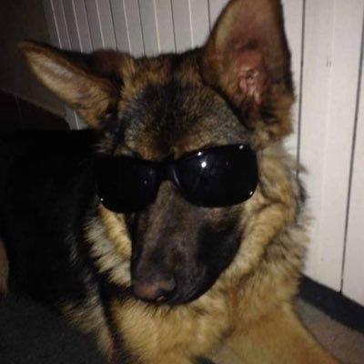 inkursaa's profile picture