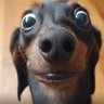 Steve's profile picture