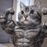Фото профиля はっぴー🐾ねこと筋トレ