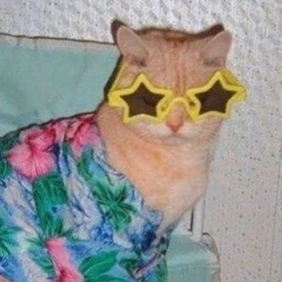 cas 🐧's profile picture