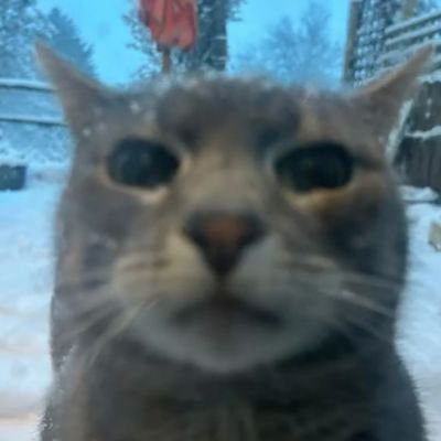 kimijd369's profile picture
