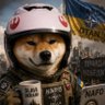 Profilbild von Bearytale 🇪🇺🇩🇪