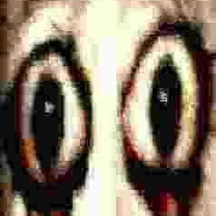 storkiiofficial's profile picture