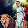 Profilbild von CİMBOM BOM