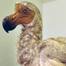 kanch7's profile picture