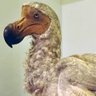 Profilbild von Curious MiND