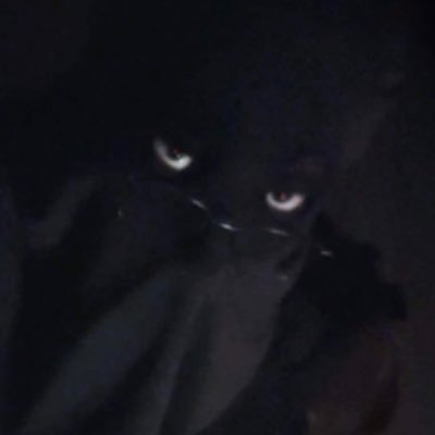 crypt1c_corvid's profile picture