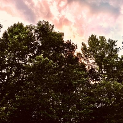 pwnerblu's profile picture