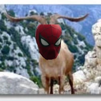 Blazecap🍉(Spider-man Brand new day Era)'s profile picture