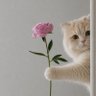 🎀 profil fotoğrafı