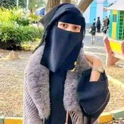 xmtwpg's profile picture
