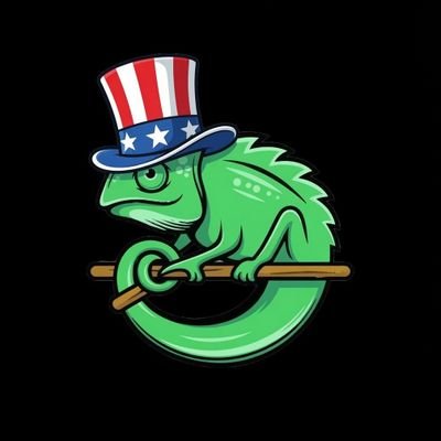 Sticklizard3's profile picture